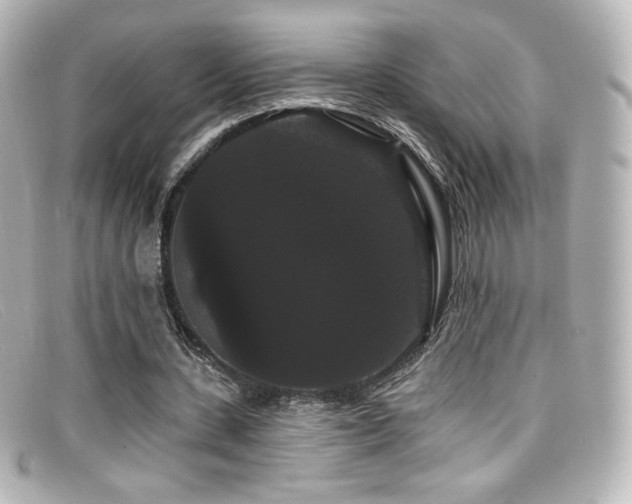 X0000099380531200805081448