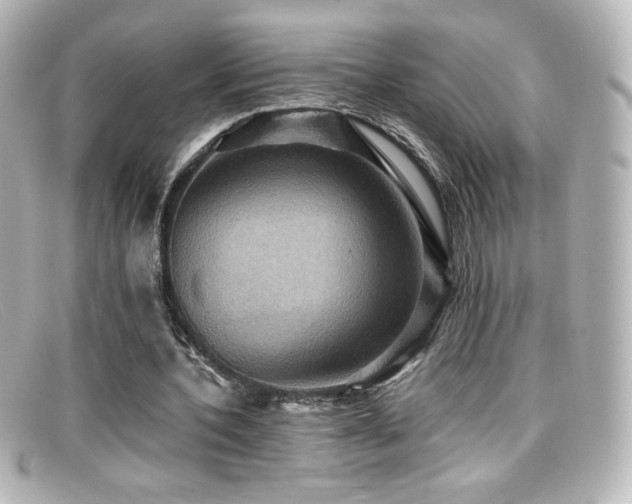 X0000099380532200805081448