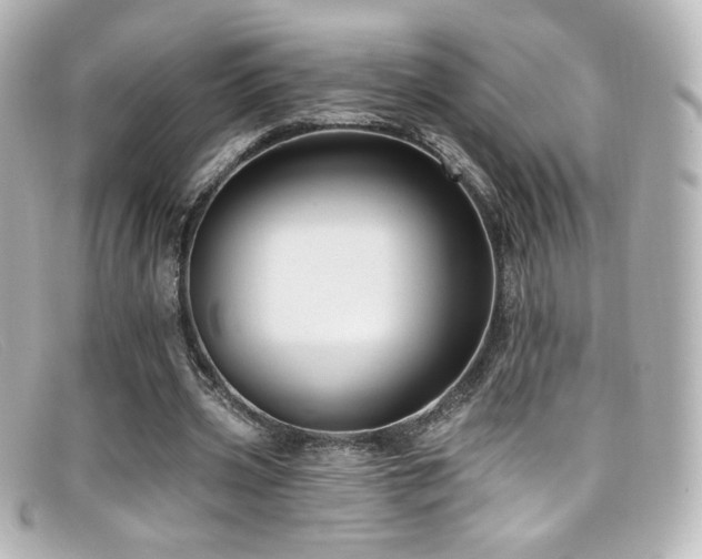 X0000099380533200805081448