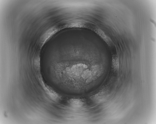 X0000099380534200805081448