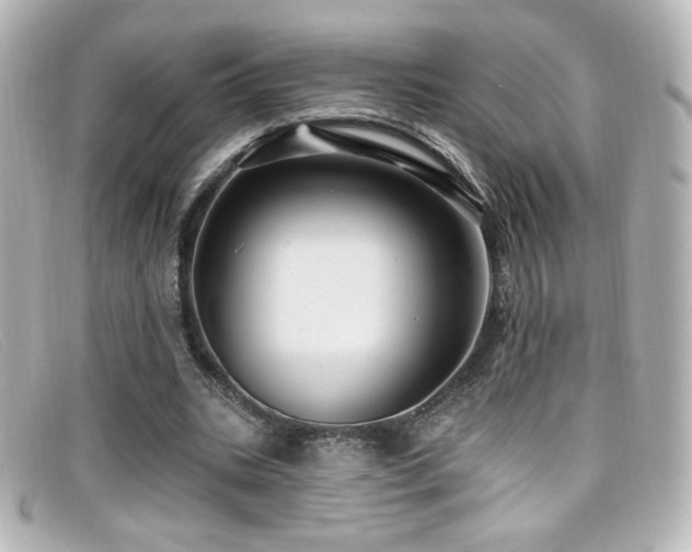 X0000099380535200805081448