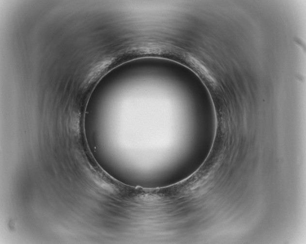 X0000099380537200805081448