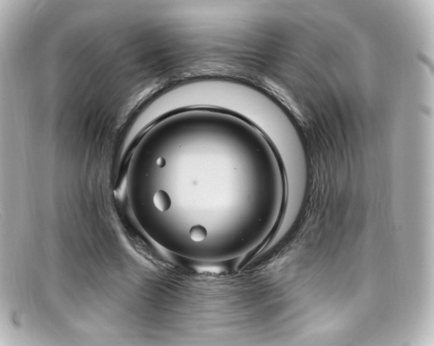 X0000099380538200805081448