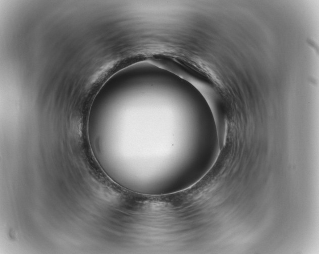 X0000099380539200805081448