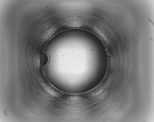 X0000099380541200805081448