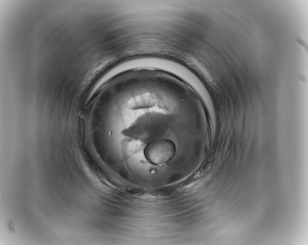 X0000099380542200805081448