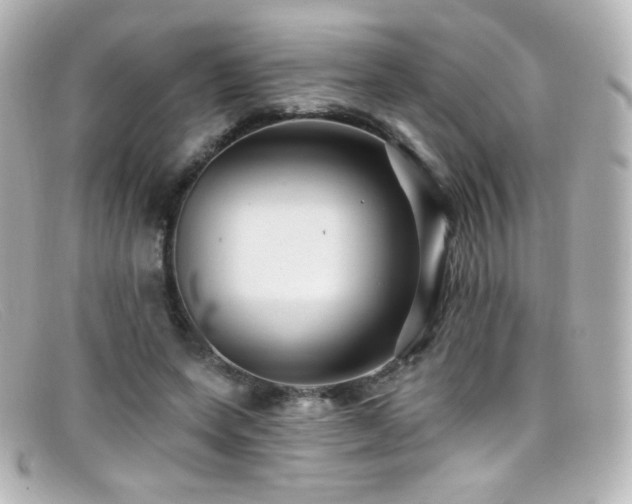 X0000099380543200805081448