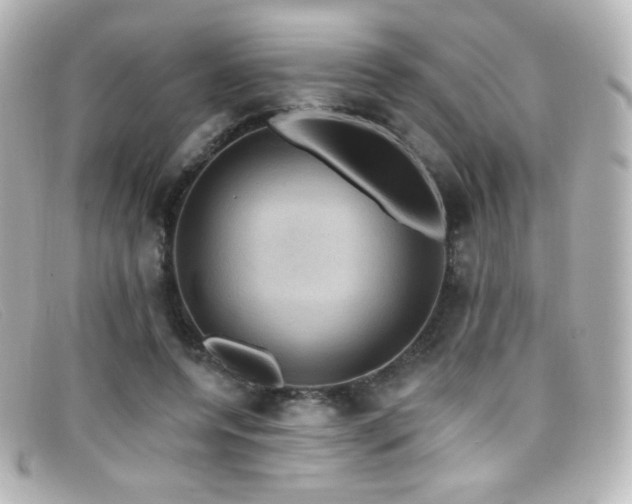 X0000099380544200805081448