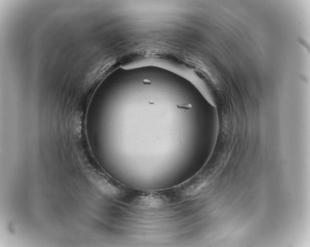 X0000099380545200805081448