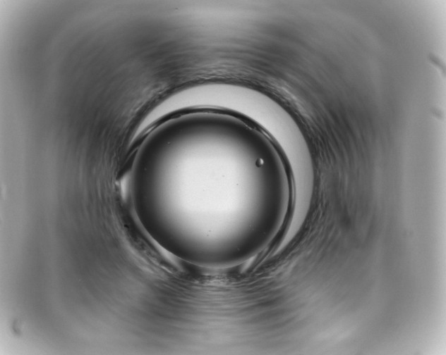 X0000099380546200805081448