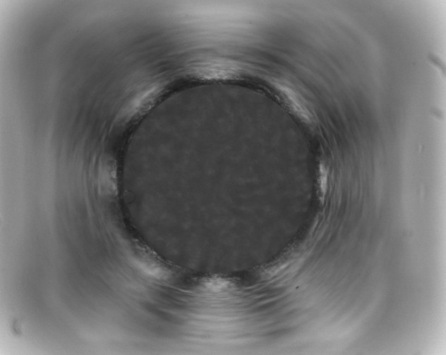 X0000099380547200805081448