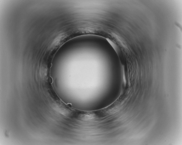 X0000099380548200805081448