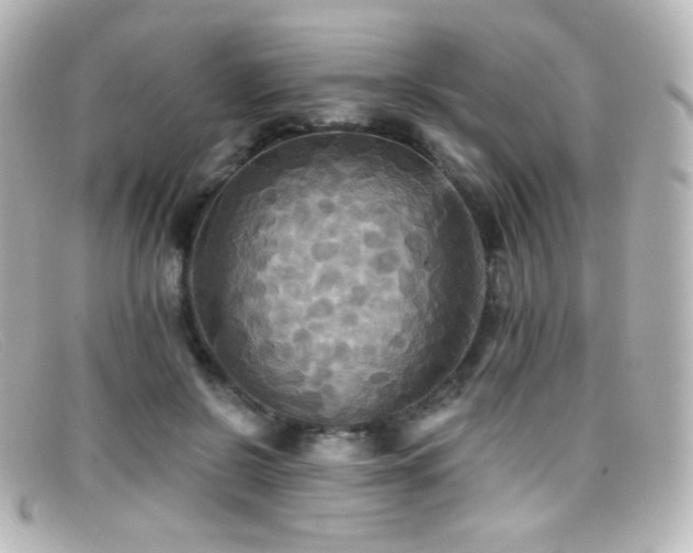 X0000099380550200805081448