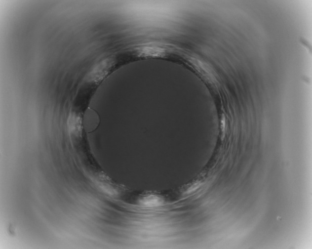 X0000099380551200805081448