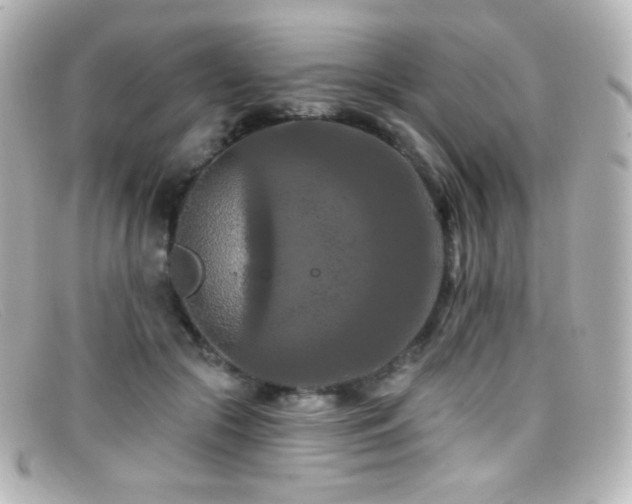 X0000099380553200805081448