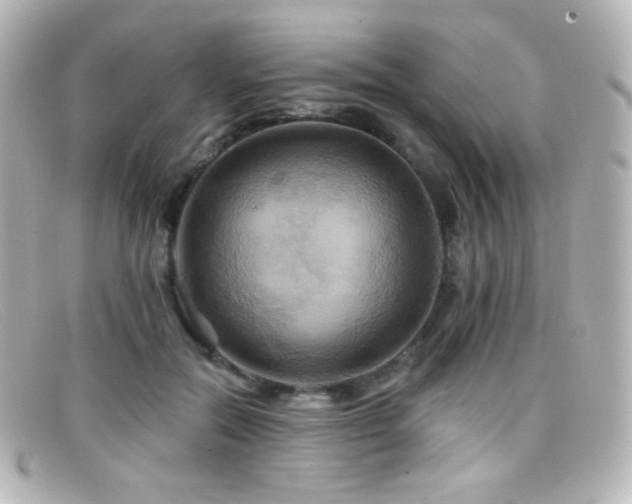 X0000099380554200805081448