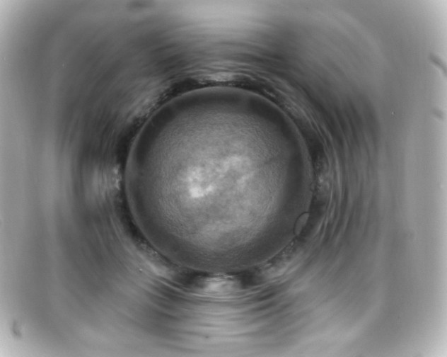 X0000099380555200805081448