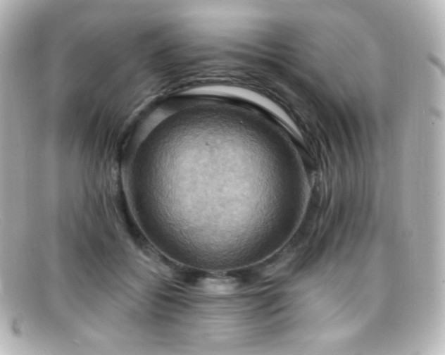 X0000099380556200805081448