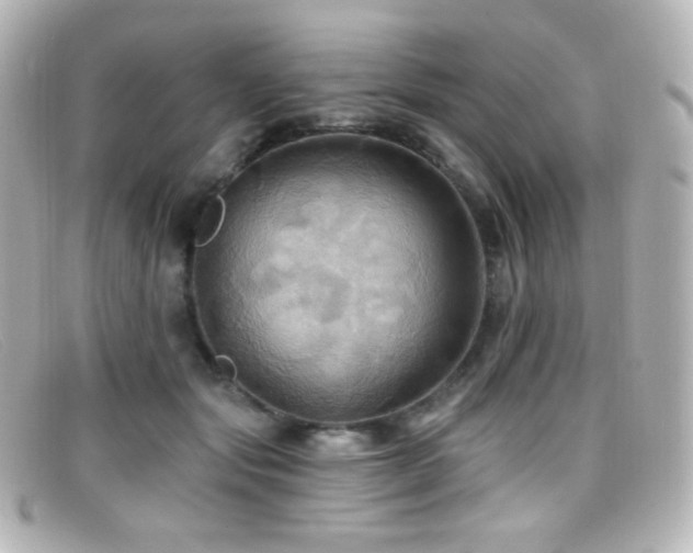 X0000099380557200805081448