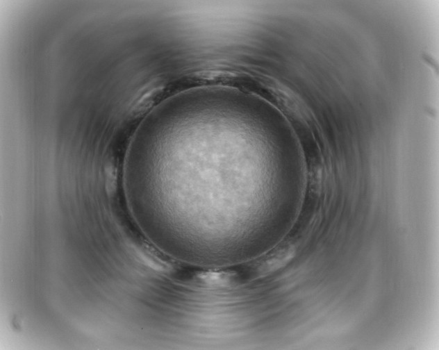 X0000099380558200805081448