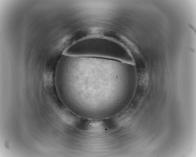 X0000099380560200805081448