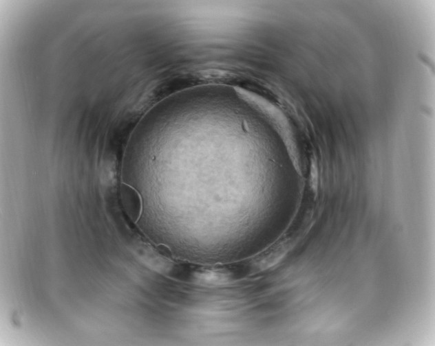 X0000099380561200805081448