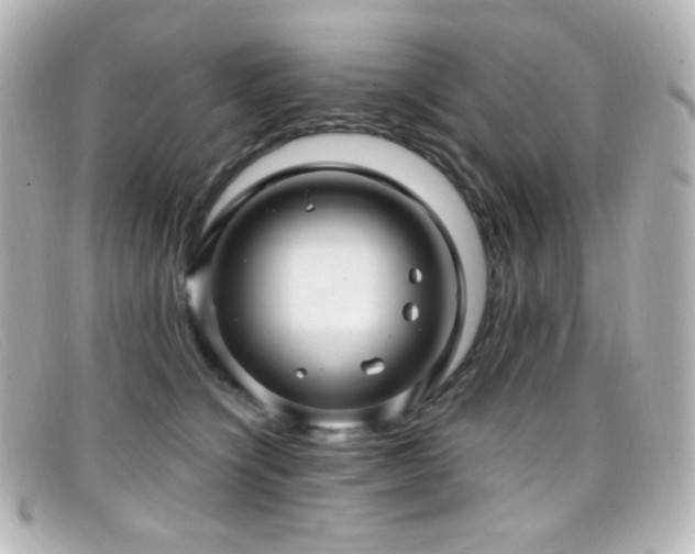 X0000099380564200805081448