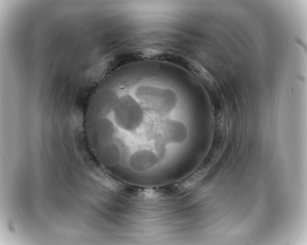 X0000099380565200805081448