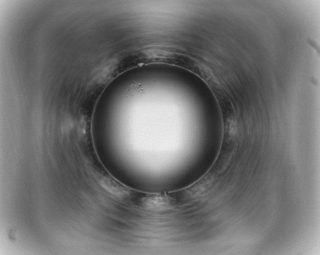 X0000099380567200805081448