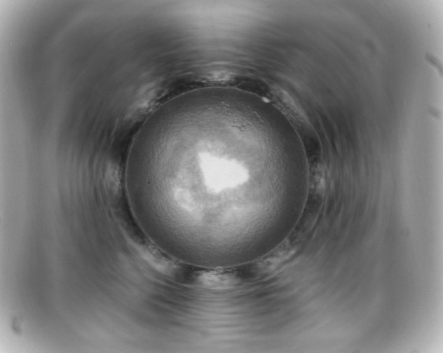 X0000099380568200805081448