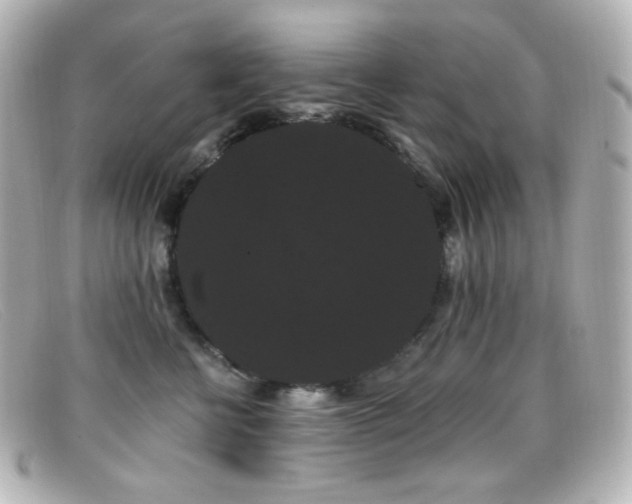 X0000099380570200805081448