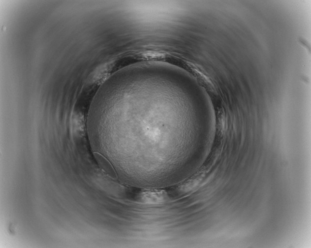 X0000099380571200805081448