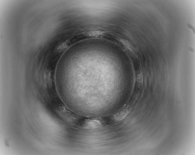 X0000099380572200805081448