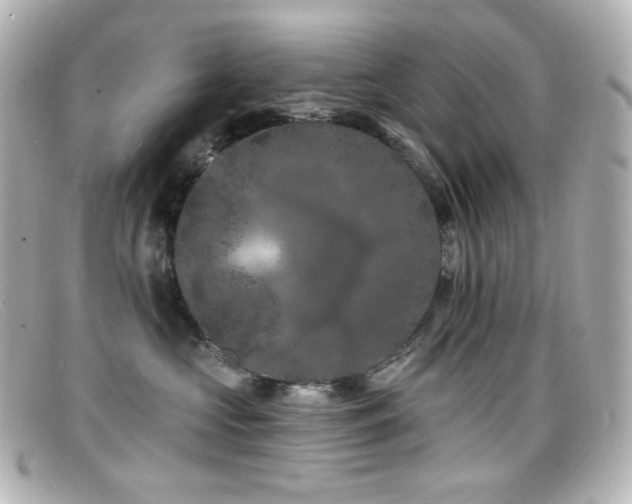 X0000099380573200805081448