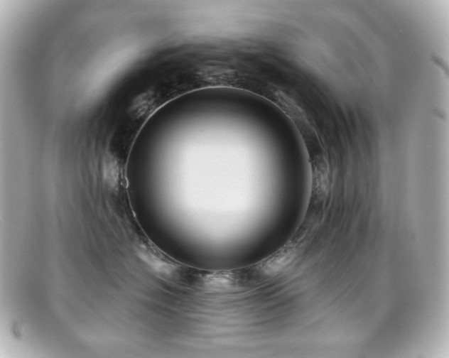 X0000099380574200805081448