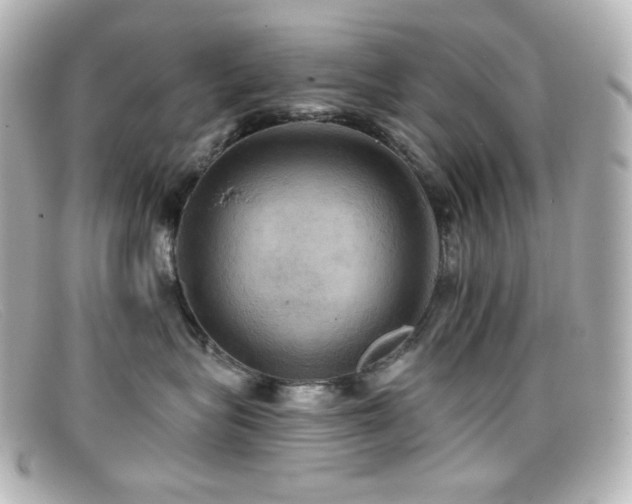 X0000099380575200805081448