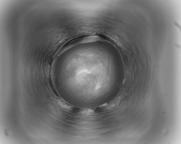 X0000099380576200805081448