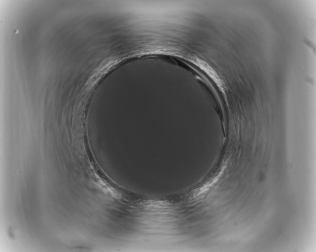 X0000099380577200805081448