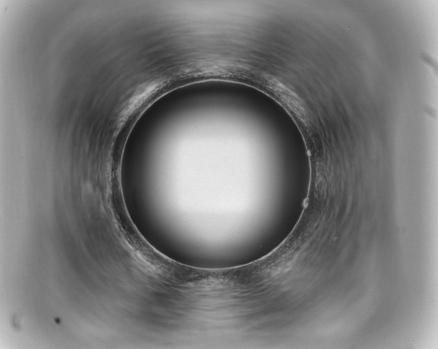 X0000099380578200805081448