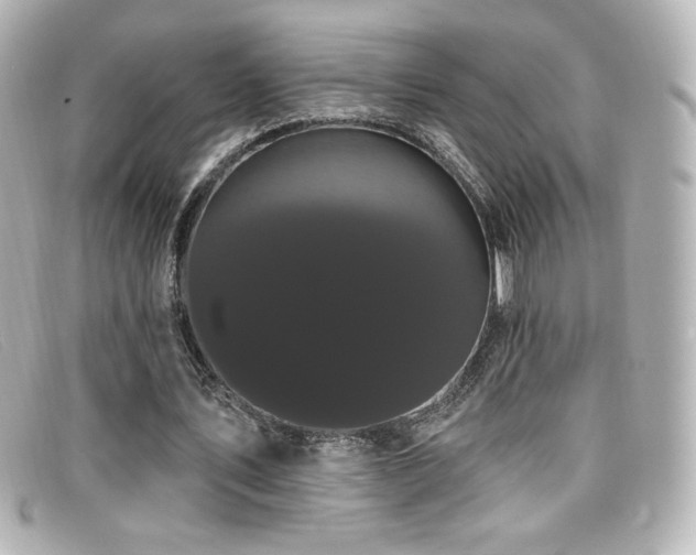 X0000099380579200805081448