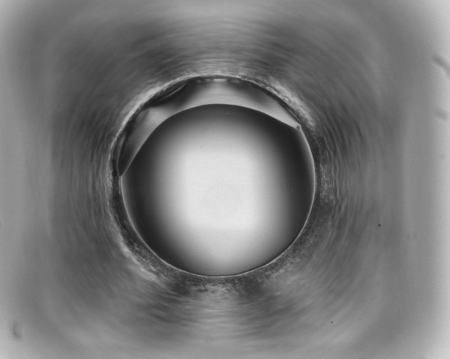 X0000099380580200805081448