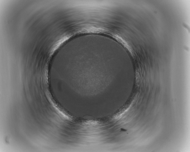 X0000099380581200805081448