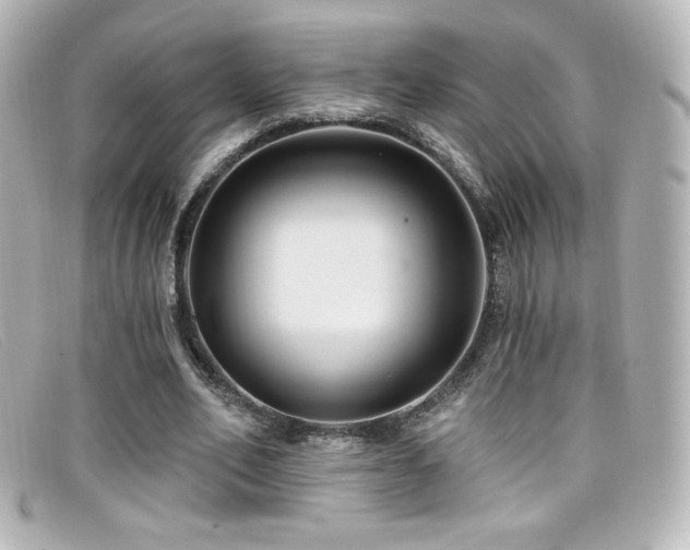 X0000099380582200805081448