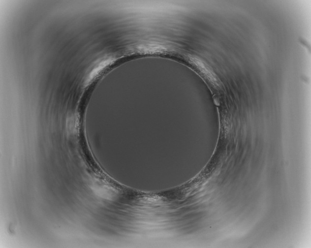 X0000099380583200805081448