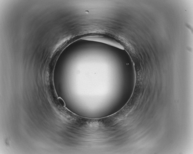 X0000099380587200805081448