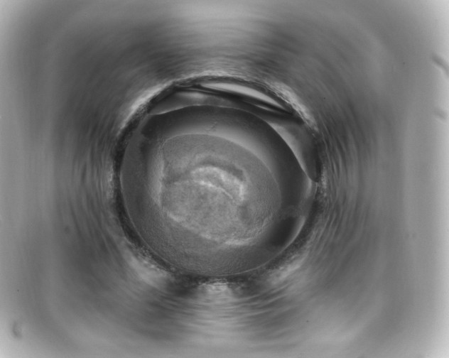 X0000099380588200805081448