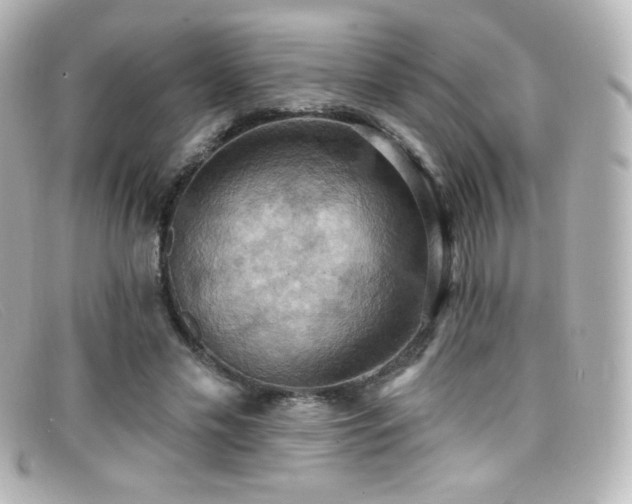 X0000099380589200805081448