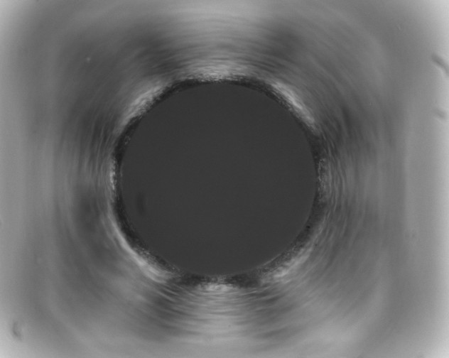 X0000099380590200805081448