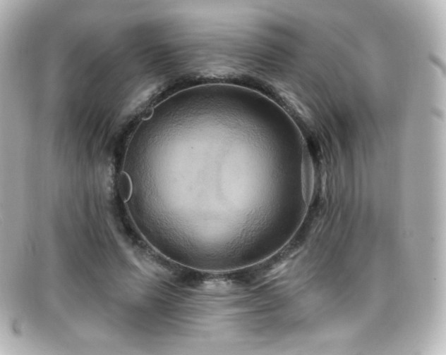 X0000099380591200805081448