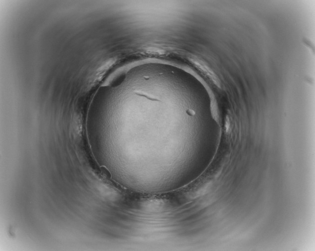 X0000099380593200805081448